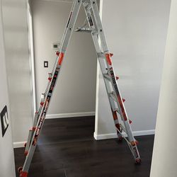 Little Giant Xtreme Ladder