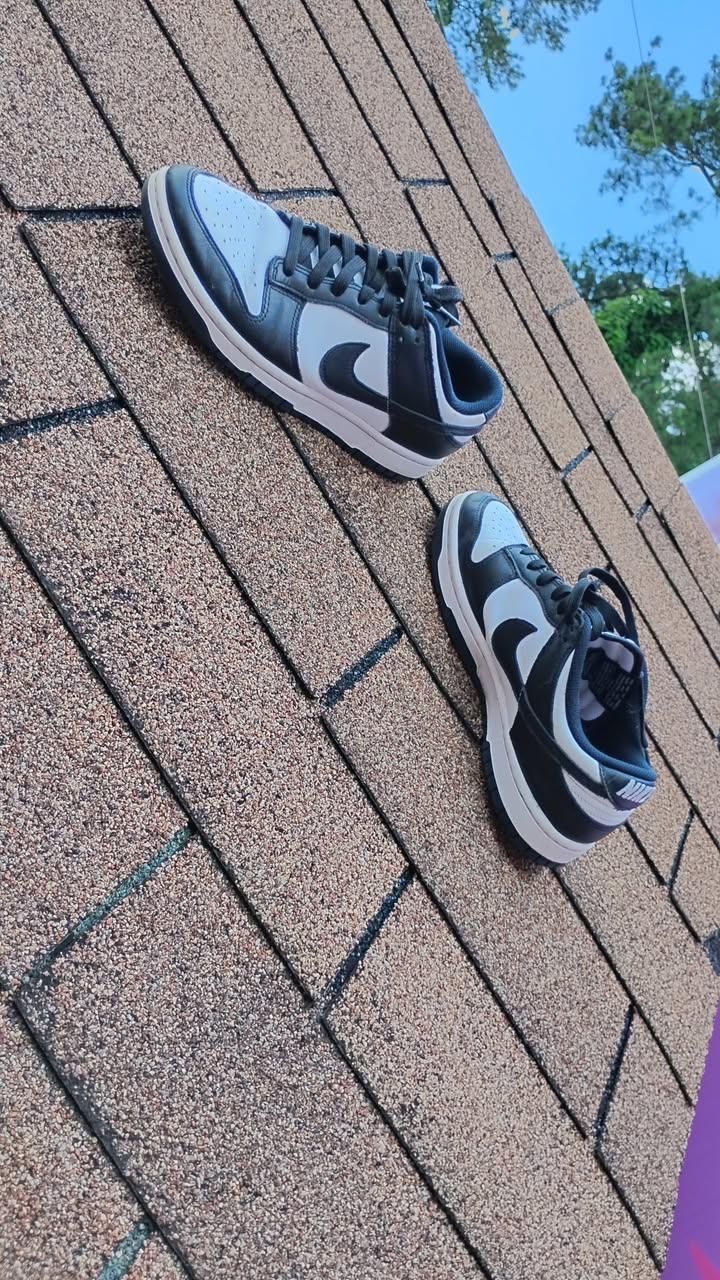 Nike Panda Dunks