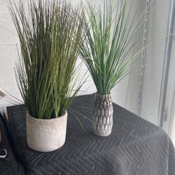 Faux Grass Plants 