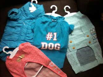 It's getting cold out keep your pets warm.Lg doggy brand new never worn 20 for all 4