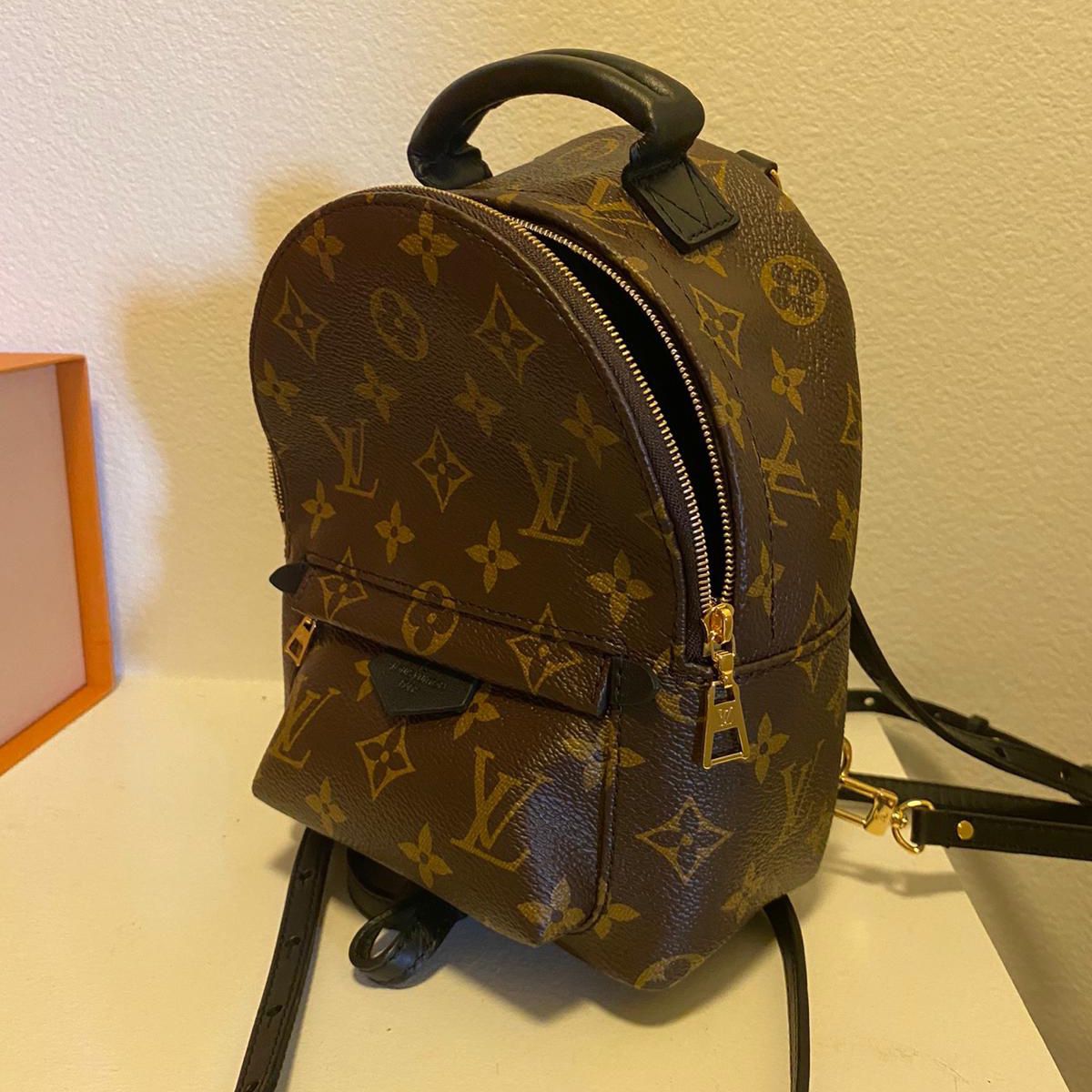 Louis Vuitton Palmspring Backpack New