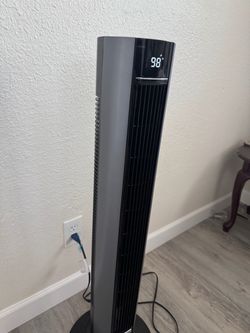 Fan