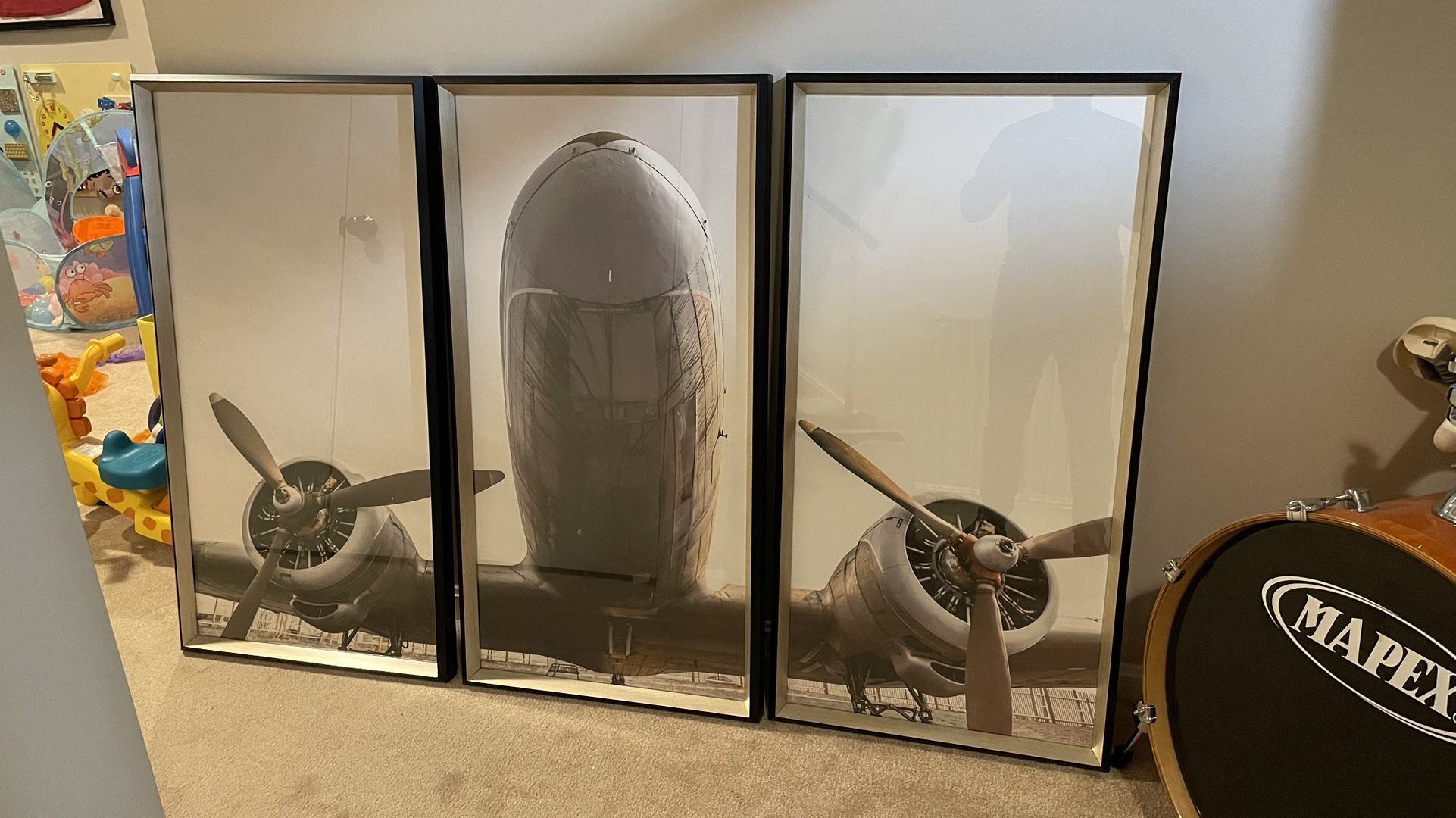 DC-3  Portrait In Three Frames 