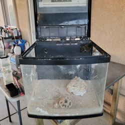 Cracked Bio Cube Comes With Light and Stand