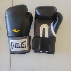 Everlasting Pro Style 12oz Boxing Gloves