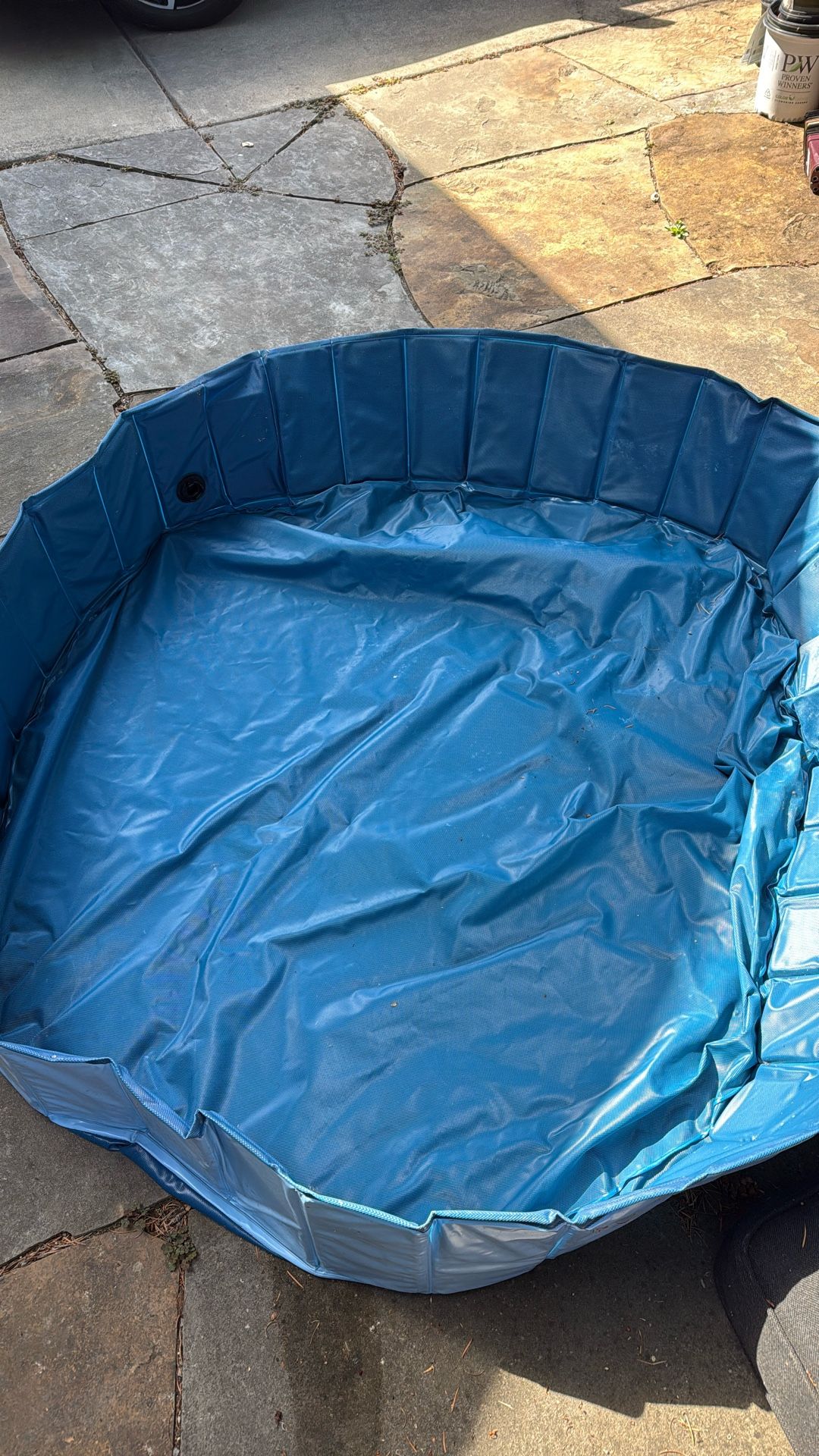 Kids Pool