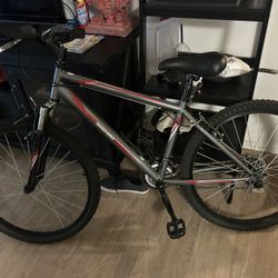 New Bike Nishiki