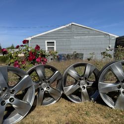 Original Lexus Rims 