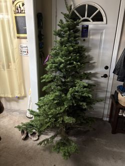 Christmas Tree Noble 