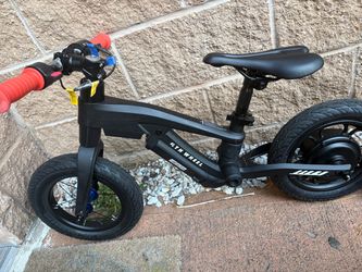 Electric Bike
