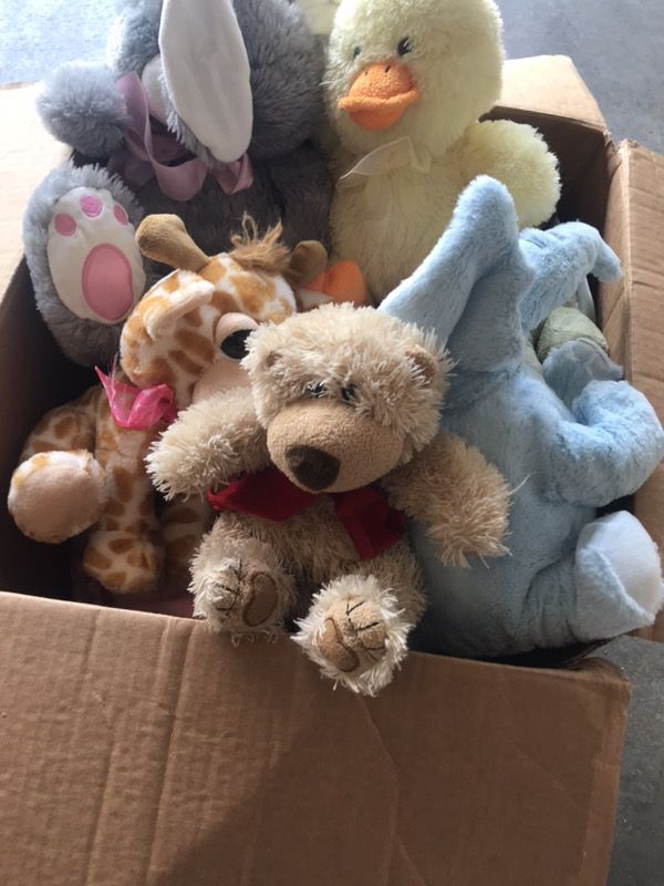Box of teddy bears