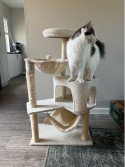 Cat Tree