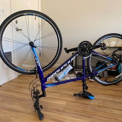 Cannondale Quick 4 - Cobalt Blue 