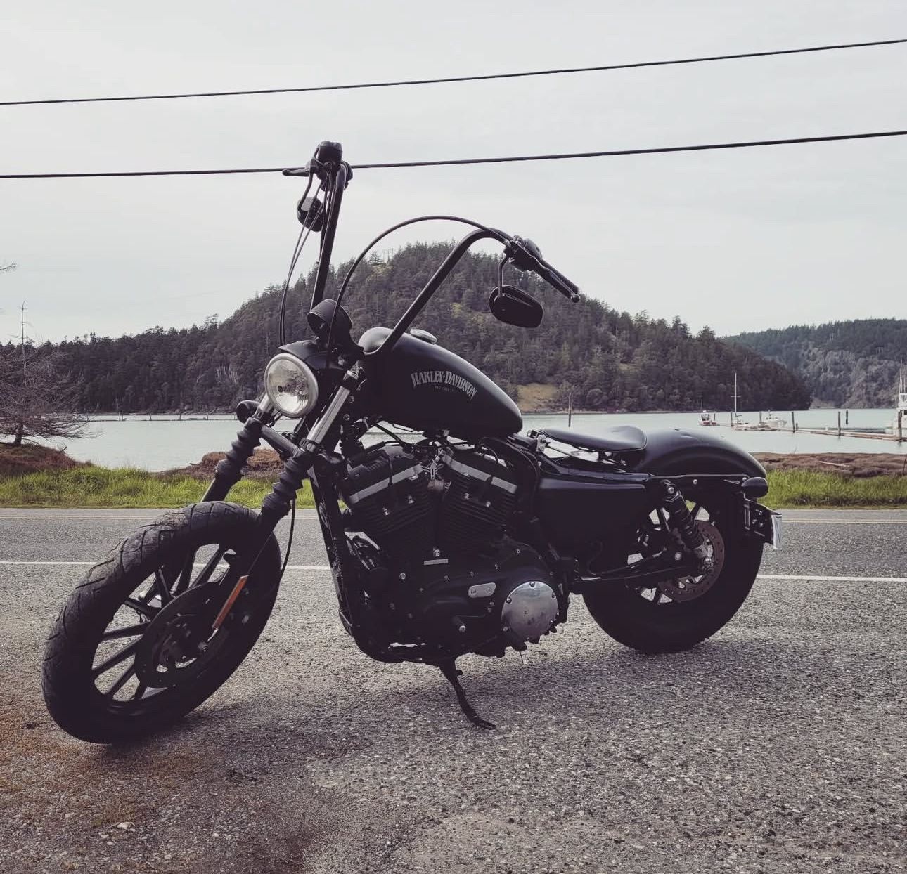 2013 Harley Davidson XL883