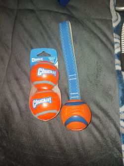 CHUCKIT TUG & 2-Pack Medium Balls for Dog Toy 🐕