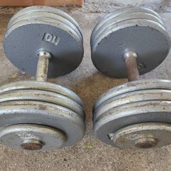 65 Pound Pro Style Fixed Dumbbells
