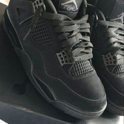 Air Jordan 4 “Black Cat” (2020)