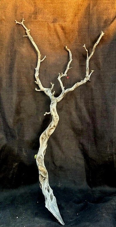 Top Quality Drift Wood