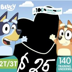 Pampers Easy Ups Size 2T-3T 