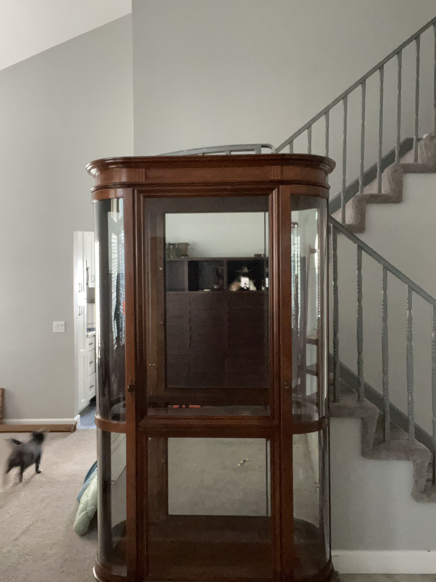 Glass Cabinet (Curio Cabinet) (delivery included)