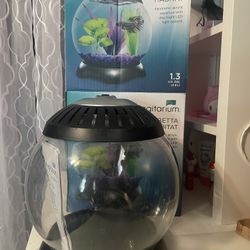 Betta 1.3 Gallon Acrylic Aquarium W/LED Light 