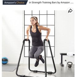 dip fitness bar