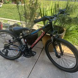 Schwinn Mountain Bike 