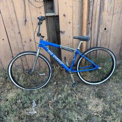 SE Big Ripper 29’ Custom 900 OBO