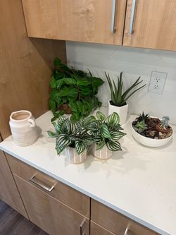 Decor