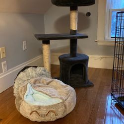 Cat Tree & Bed
