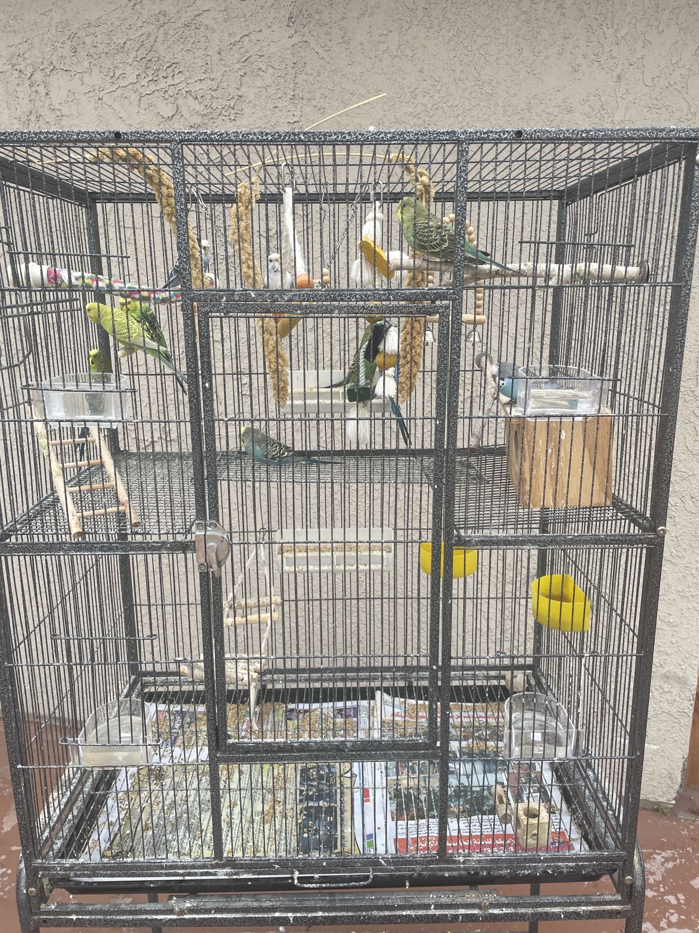 big bird cage for sale