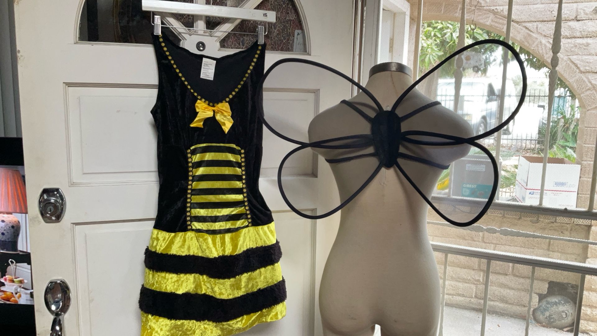 Adult Woman’s Bubble Bee Costume