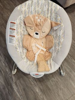 Fisher-Price baby bouncer