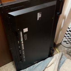 49” Lg Oled Gaming Monitor 