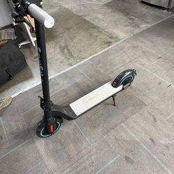 Electric Scooters 