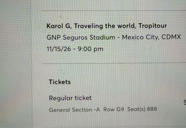 Karol G ticket Mexico City Nov. 15th