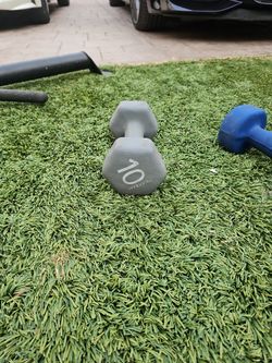 Embark Dumbell 10lb