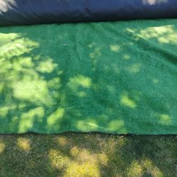Indoor/Outdoor Carpet