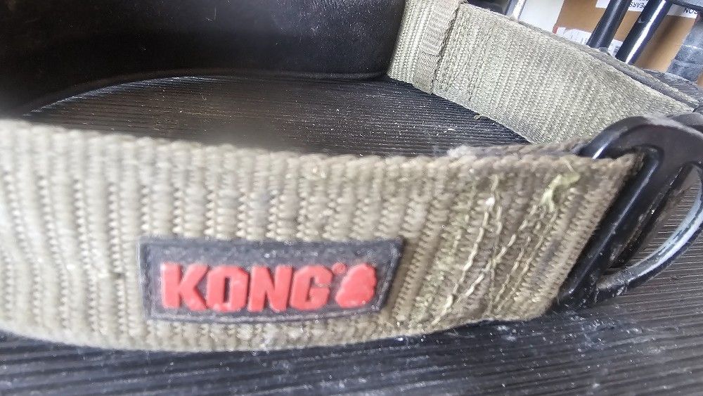 Kong Dog Collar