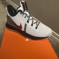 LeBron Witness V Shoes GS/Women’s