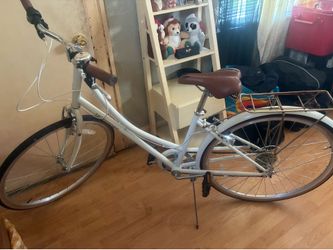 RetroSpec Bike