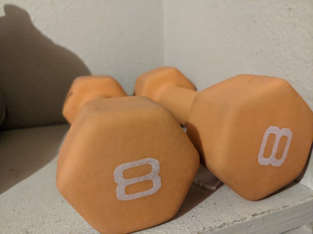 8 lb Dumbbells And 6 lb Dumbbells