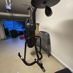 Punching bag with gloves