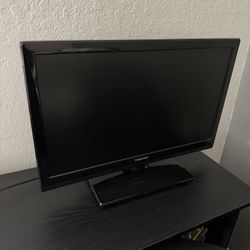 Computer Monitor/ Television Receiver 