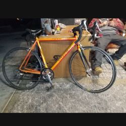 Trek Road Bike