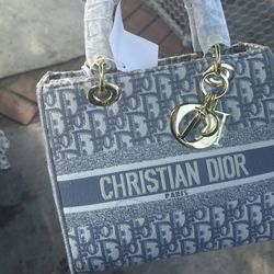 DIOR womens bag