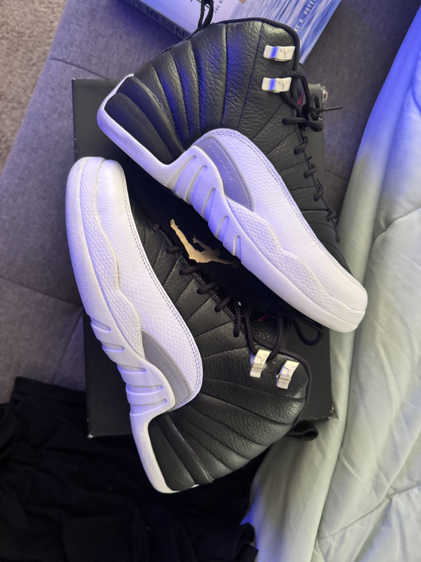 Air Jordan 12 Playoff