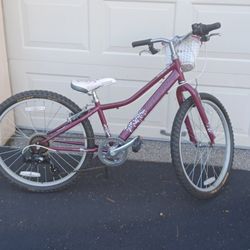 Giant Girls Bike