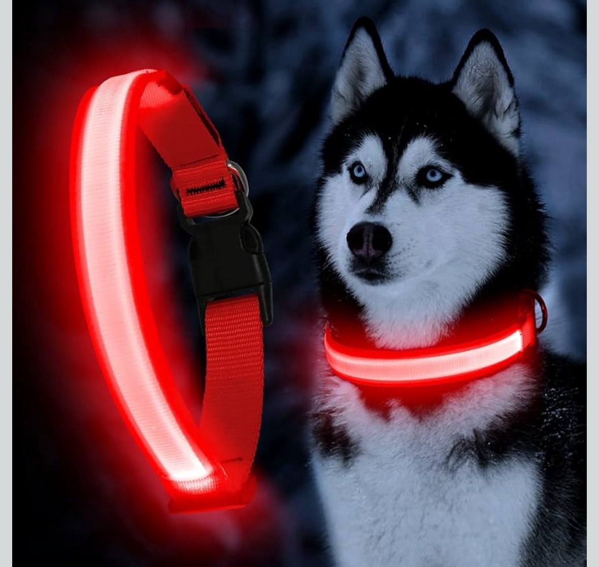 Ultra Light Adjustable LED Dog Collar, Dog Collars Rechargeable Size M(Open Box)