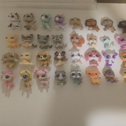 Lps Lot